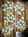 50 savons Maestroloc.webp